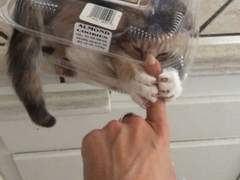 호의는 후회로 되돌아왔다