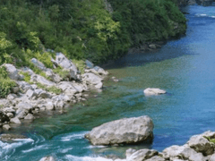 하유림 / xx / 23 / 리듬 체조