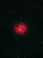 {뜰팁} 베텔기우스