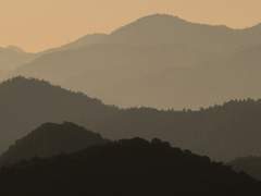 업은 악의에 의지하나니