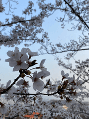 드림 소재 모음