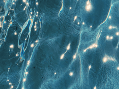 돌이킬 수 없는 외전 #3.