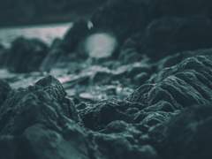 [장경고윤] 사생아