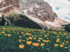 [장경고윤] 냄새