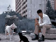 [겸쿱] postApocalypse: 아포칼립스 그 후