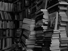 세상에서 제일 미워하는 사람에게.