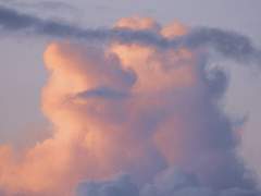 [장경고윤] 메이드복