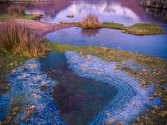 [장경고윤] 파트너