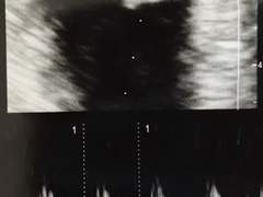 ‘되면 한다’ 주의