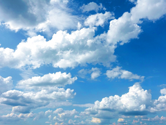 파란 하늘 밑 파랑새