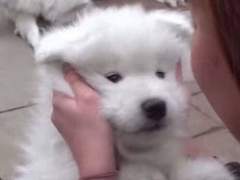 ε♡з이 부족할ㄸĦ。>ㅇ< 공スㅣ乙ㅓ말あЙ요 >ㅇ<