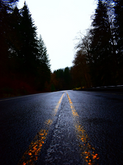 의심암귀 [疑心暗鬼]