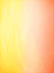 약사언니가 말아주는 다이어트