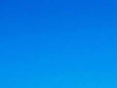 그것은 돌아오지 않을 대답.