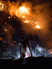 저주 받은 가이드