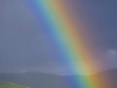 무지개