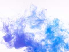 대서(大暑)일지