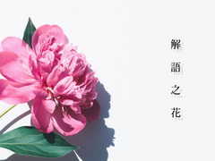 解語之花 (해어지화)