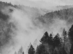 [명급리] 不入虎穴不得虎子 10