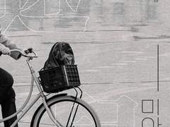 [협력] 정의현 플라워샵