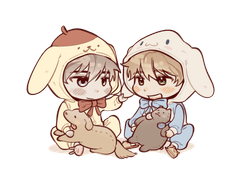 [23.10.09] 데이지- 에녹 관계 타로