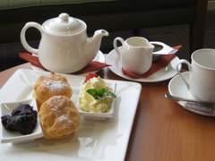 [선지님] 후냐냐 3인