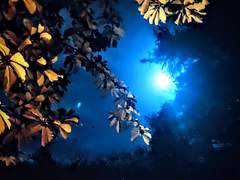 [카이아오] 잠시나마 되찾은 평화