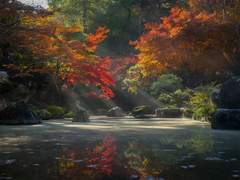 [장경고윤] 다언삭궁