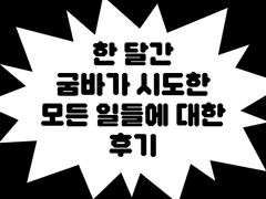 한 달간 굼바가 시도한 모든 일들에 대한 후기