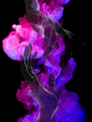 약육강식의 룰 + 적자생존의 진리