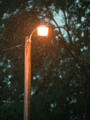 비극적인 삶의 희망 한 줄기