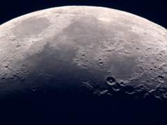 오존 타로 커미션