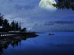 죽사헌 읽던 타래 백업