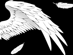 『날개를 펼칠게요』