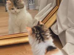 엔시티 막내 여주 ssul #11