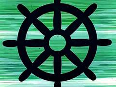 썰 (로브 루치) 오빠 새끼는 오늘도 싸가지가 없다