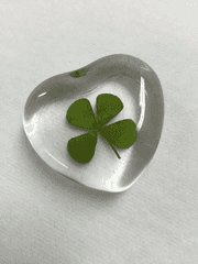 유명인 사주풀이