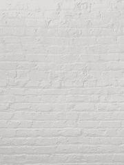 네? 제가 범천 역하렘 미연시에 들어왔다구요?