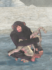 밥먹고 노는 이야기