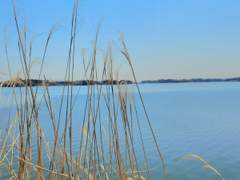 대체로 맞습니다 27