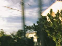 우리에게 여름은 짧다