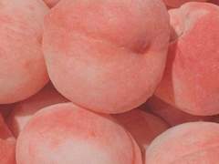 꽃은 웃어도 소리가 없고 새는 울어도 눈물이 없다.