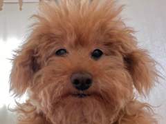 [랑구] 10월 10일 : 10월의 날씨