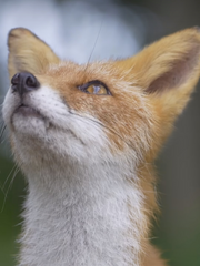 흐드러지는 시간 속에서