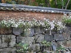 공시생 남편이 반드시 해야만 하는 이것