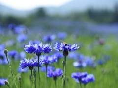 하드코어(미완성)나중에 시간될때 다 끝낼애정