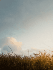 당신의 오늘 하루는 어땠나요?