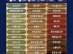 지팡이 목재 색상표