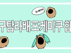 준구탐라배 포케미쿠합작