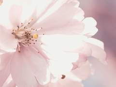 이 겨울을 넘어,